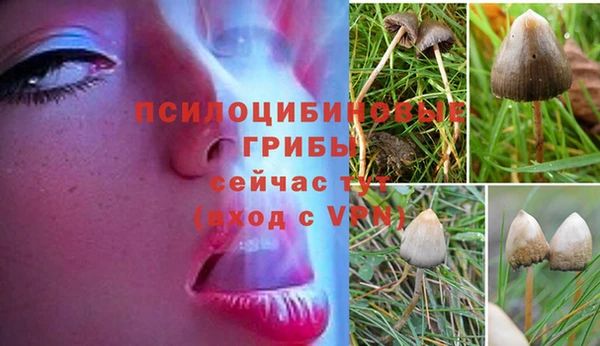 герыч Алзамай